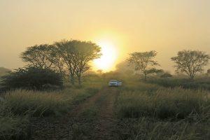 Bahati Sunrise